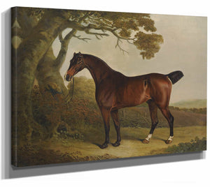 A Bay Horse Tethered To A Tree In A Landscape By Thomas Weaver