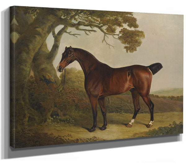 A Bay Horse Tethered To A Tree In A Landscape By Thomas Weaver