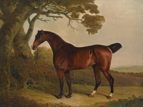 Thomas Weaver A Bay Horse Tethered To A Tree In A Landscape By Thomas Weaver