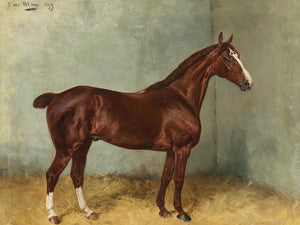 Julius Von Blaas A Bay Horse With White Blaze In A Stable By Julius Von Blaas