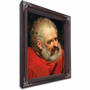 A Bearded Old Man In A Red Cloak By Frans Floris