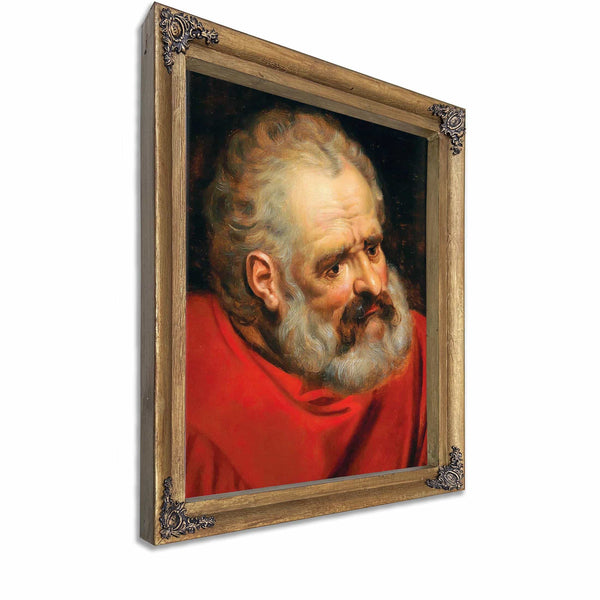 A Bearded Old Man In A Red Cloak By Frans Floris