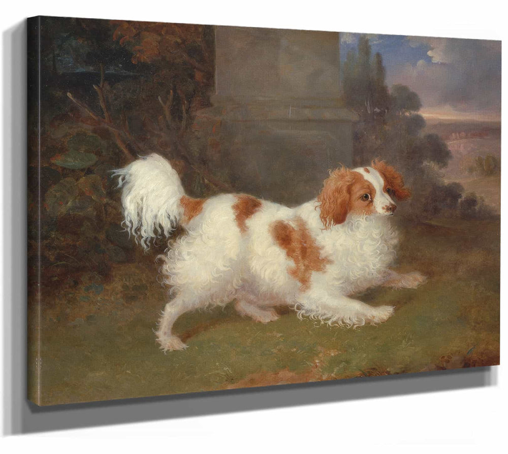 William Webb A Blenheim Spaniel By William Webb