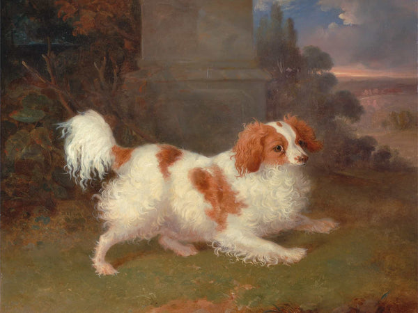 William Webb A Blenheim Spaniel By William Webb