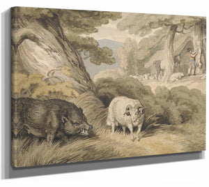 A Boar And A Ram By Samuel Howitt