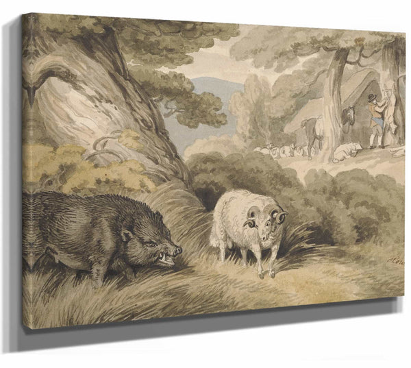 Samuel Howitt A Boar And A Ram By Samuel Howitt