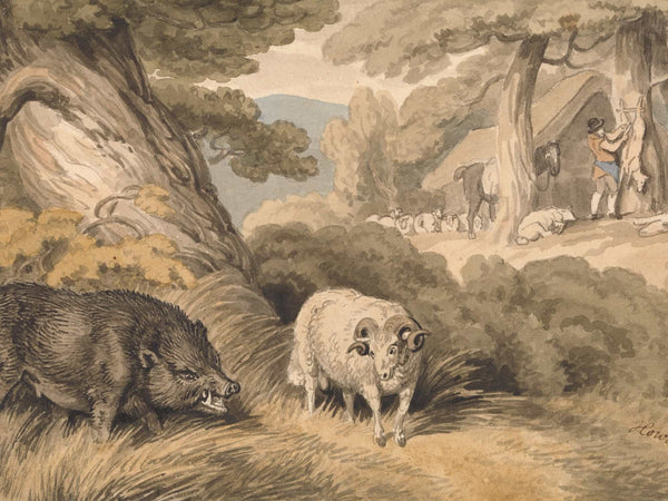 Samuel Howitt A Boar And A Ram By Samuel Howitt