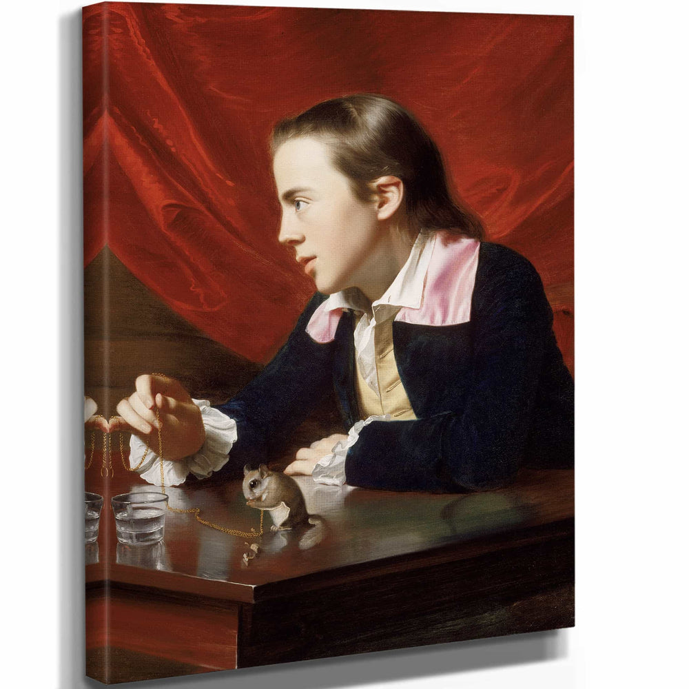 John Singleton Copley A Boy With A Flying Squirrel By John Singleton Copley