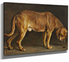 Otto Bache 14" x 11" / Stretched Canvas Wrap A Broholmer Dog Looking At A Stag Beetle By Otto Bache