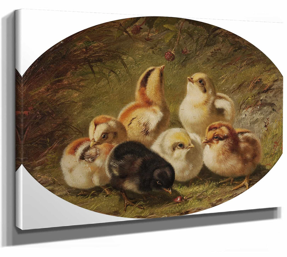 Arthur Fitzwilliam Tait 14" x 11" / Stretched Canvas Wrap A Brood Of Chicks By Arthur Fitzwilliam Tait