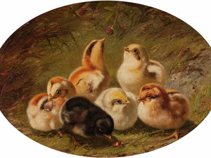 Arthur Fitzwilliam Tait A Brood Of Chicks By Arthur Fitzwilliam Tait