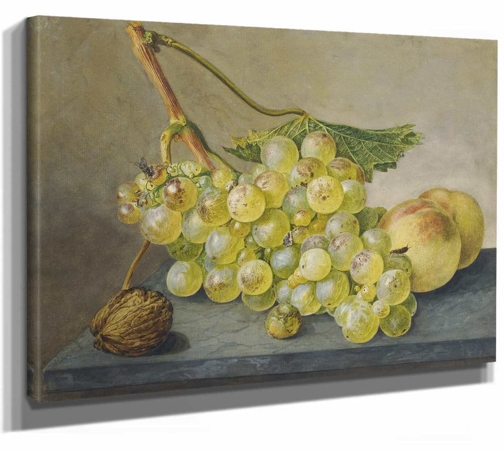 Wybrand Hendriks A Bunch Of Grapes A Nut And Two Peaches By Wybrand Hendriks