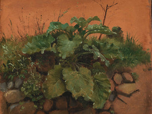 Johan Thomas Lundbye A Burdock And Other Plants On A Stone Wall (1847) By Johan Thomas Lundbye