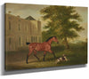 John Ferneley 14" x 11" / Stretched Canvas Wrap A Chestnut Horse And A Hound Outside Humewood Manor Co Wicklow By John Ferneley