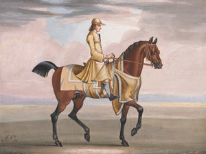 James Seymour A Chestnut Horse At Exercise By James Seymour