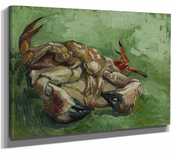 A Crab On Its Back By Vincent Van Gogh