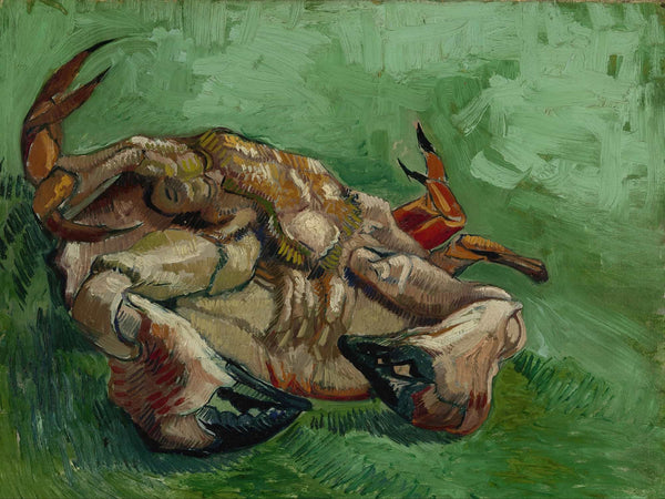 Vincent Van Gogh A Crab On Its Back By Vincent Van Gogh