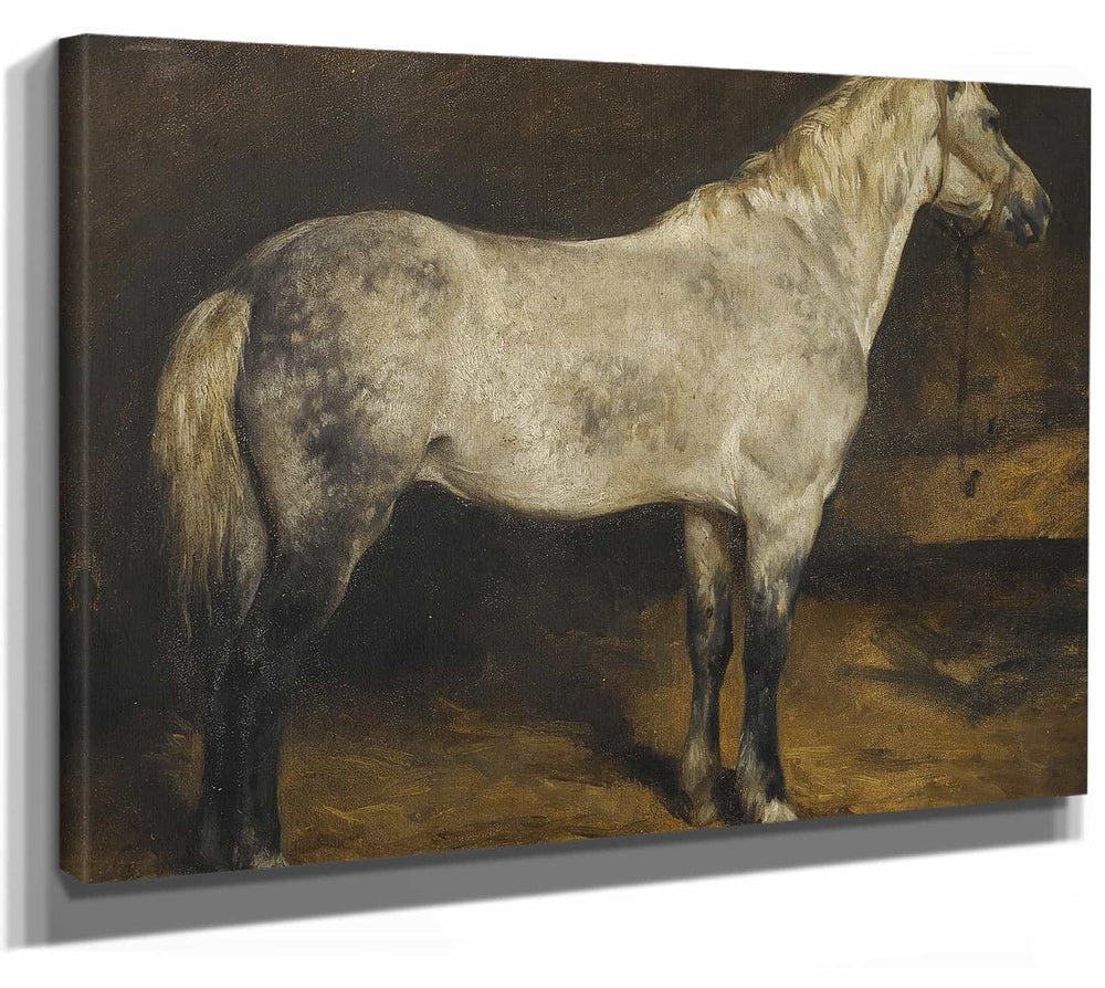 Rosa Bonheur 14" x 11" / Stretched Canvas Wrap A Dapple Grey Horse By Rosa Bonheur