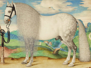 Prague School A Dappled Gray Stallion Tethered In A Landscape (About 1584–1587) By Prague School