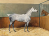 Julius Von Blaas A Dappled Grey Horse By Julius Von Blaas