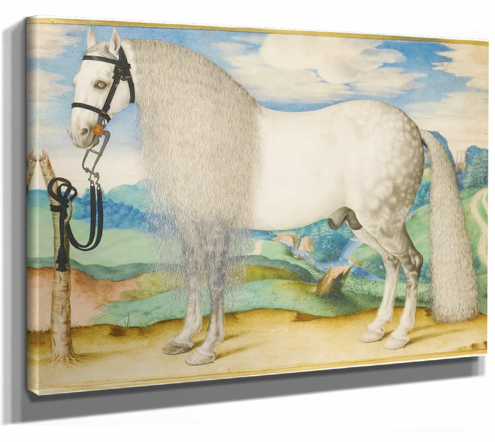 Prague School 14" x 11" / Stretched Canvas Wrap A Dappled Grey Stallion Tethered In A Landscape By Prague School