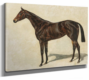 A Dark Brown Thoroughbred Mare By Emil Adam