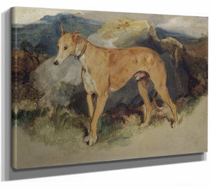 A Deerhound By Sir Edwin Henry Landseer