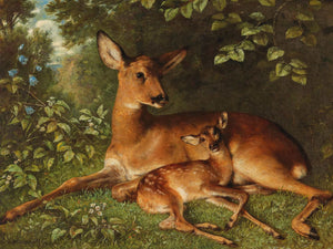 Carl Schweninger Jr A Doe With Fawn By Carl Schweninger Jr