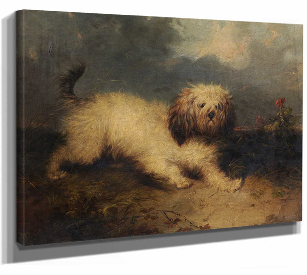 A Dog By George Armfield