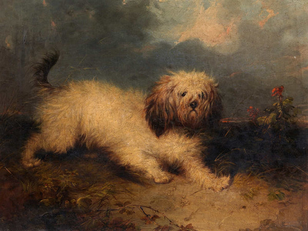 George Armfield A Dog By George Armfield