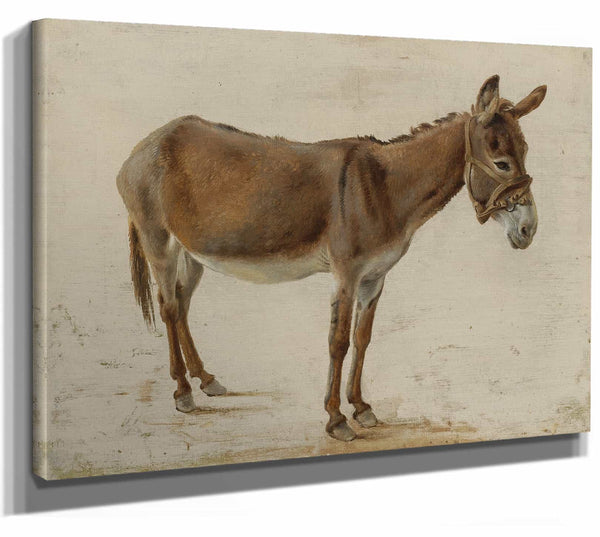 A Donkey By Jacques Laurent Agasse