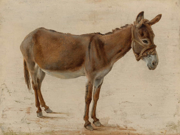 Jacques Laurent Agasse A Donkey By Jacques Laurent Agasse