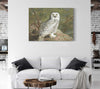 Archibald Thorburn A Female Snowy Owl By Archibald Thorburn
