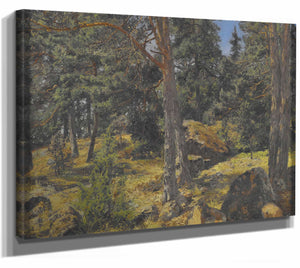 Gottfrid Samuel Nickolaus Kallstenius 14" x 11" / Stretched Canvas Wrap A Fir Bank By Gottfrid Samuel Nickolaus Kallstenius