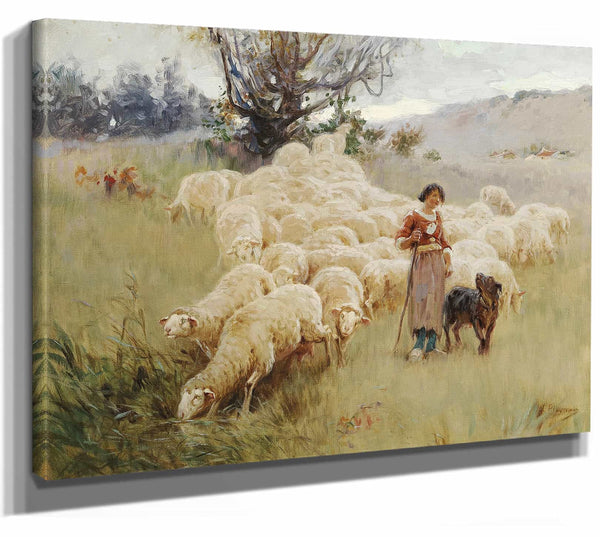 A Flock Of Sheep By Alfred Plauzeau