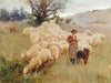 Alfred Plauzeau A Flock Of Sheep By Alfred Plauzeau