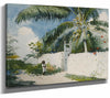 Winslow Homer A Garden In Nassau By Winslow Homer