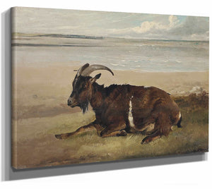 Thomas Sidney Cooper 14" x 11" / Stretched Canvas Wrap A Goat By The Shore Margate By Thomas Sidney Cooper