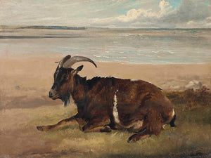 Thomas Sidney Cooper A Goat By The Shore Margate By Thomas Sidney Cooper