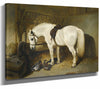 John Frederick Herring Snr 14" x 11" / Stretched Canvas Wrap A Grey Pony In A Stable With Ducks By John Frederick Herring Snr