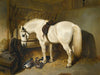 John Frederick Herring Snr A Grey Pony In A Stable With Ducks By John Frederick Herring Snr