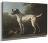 John Wootton 14" x 11" / Stretched Canvas Wrap A Grey Spotted Hound By John Wootton