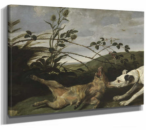 Daniel Schultz 14" x 11" / Stretched Canvas Wrap A Greyhound Catching A Young Wild Boar By Daniel Schultz