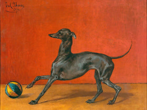 Julius Von Blaas A Greyhound Or Italian Sighthound With Ball By Julius Von Blaas