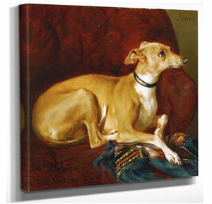 Jacques Raymond Brascassat 12" x 12" / Stretched Canvas Wrap A Greyhound Resting On A Chair By Jacques Raymond Brascassat