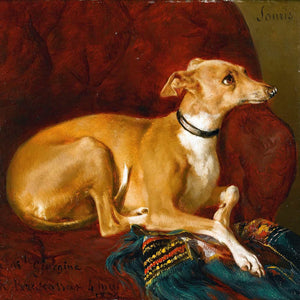 Jacques Raymond Brascassat A Greyhound Resting On A Chair By Jacques Raymond Brascassat