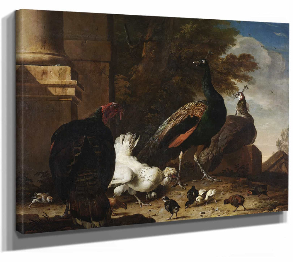 Melchior Dhondecoeter 14" x 11" / Stretched Canvas Wrap A Hen With Peacocks And A Turkey By Melchior Dhondecoeter