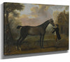 John Wootton 14" x 11" / Stretched Canvas Wrap A Horse And Groom In A Landscape By John Wootton