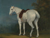 Jacques Laurent Agasse A Ladys Grey Hunter By Jacques Laurent Agasse