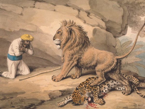 Samuel Howitt A Lion Standing Over A Wounded Leapard By Samuel Howitt